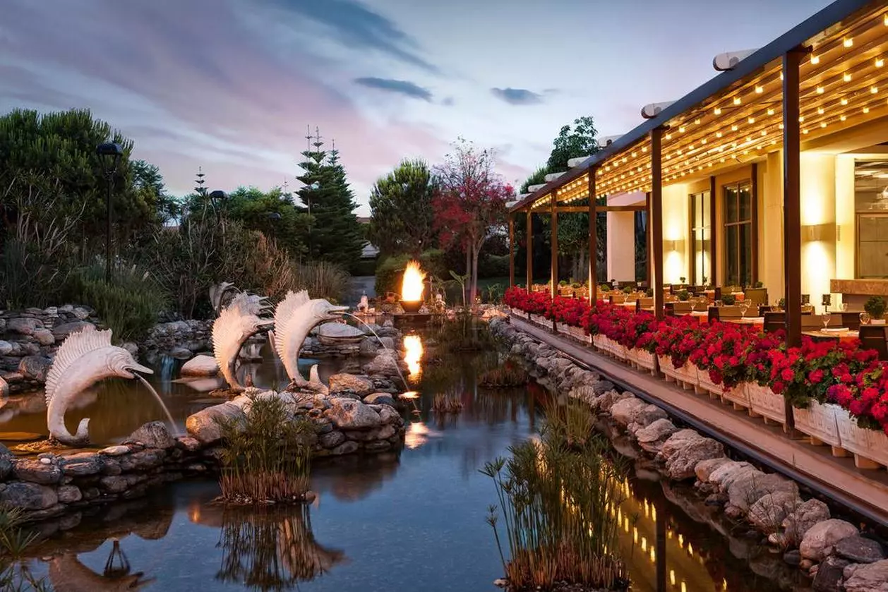 ELAQUALITY_SHABAVIZ (39).jpg